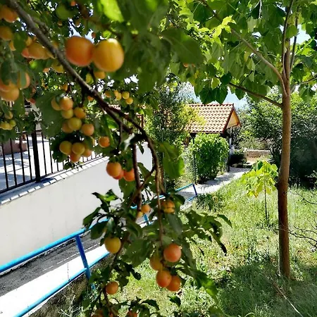 Eden Lägenhet *