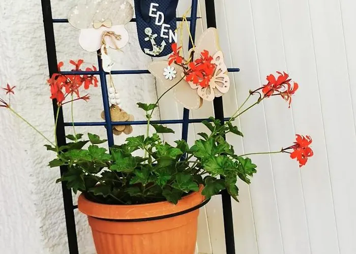 Eden ツリクヴェニツァ