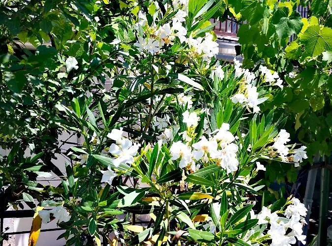 Apartman Eden Crikvenica